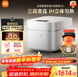 米家小米变压电饭煲4L（1614积分）
