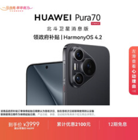 HUAWEI Pura 70（3999积分）