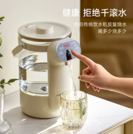 （89积分）智能恒温电热水瓶