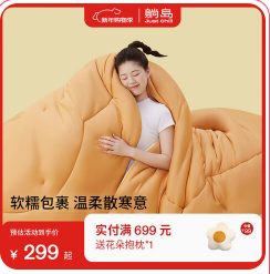 芯四季空调被子（299积分）