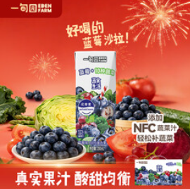一甸园100%蓝莓汁复合果蔬汁蔬菜汁（48积分）